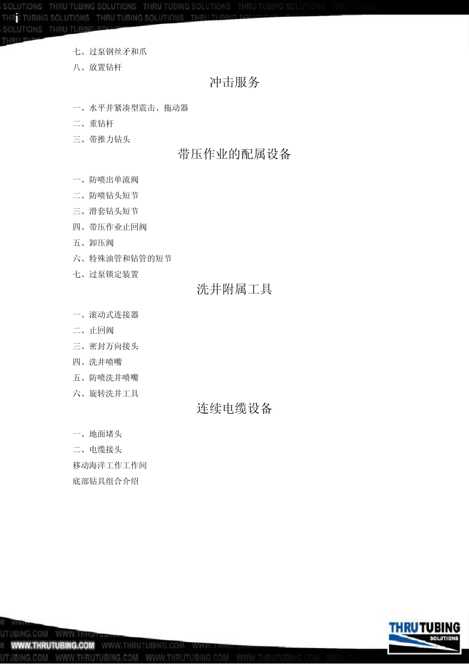 TTS产品中文目录_第3页