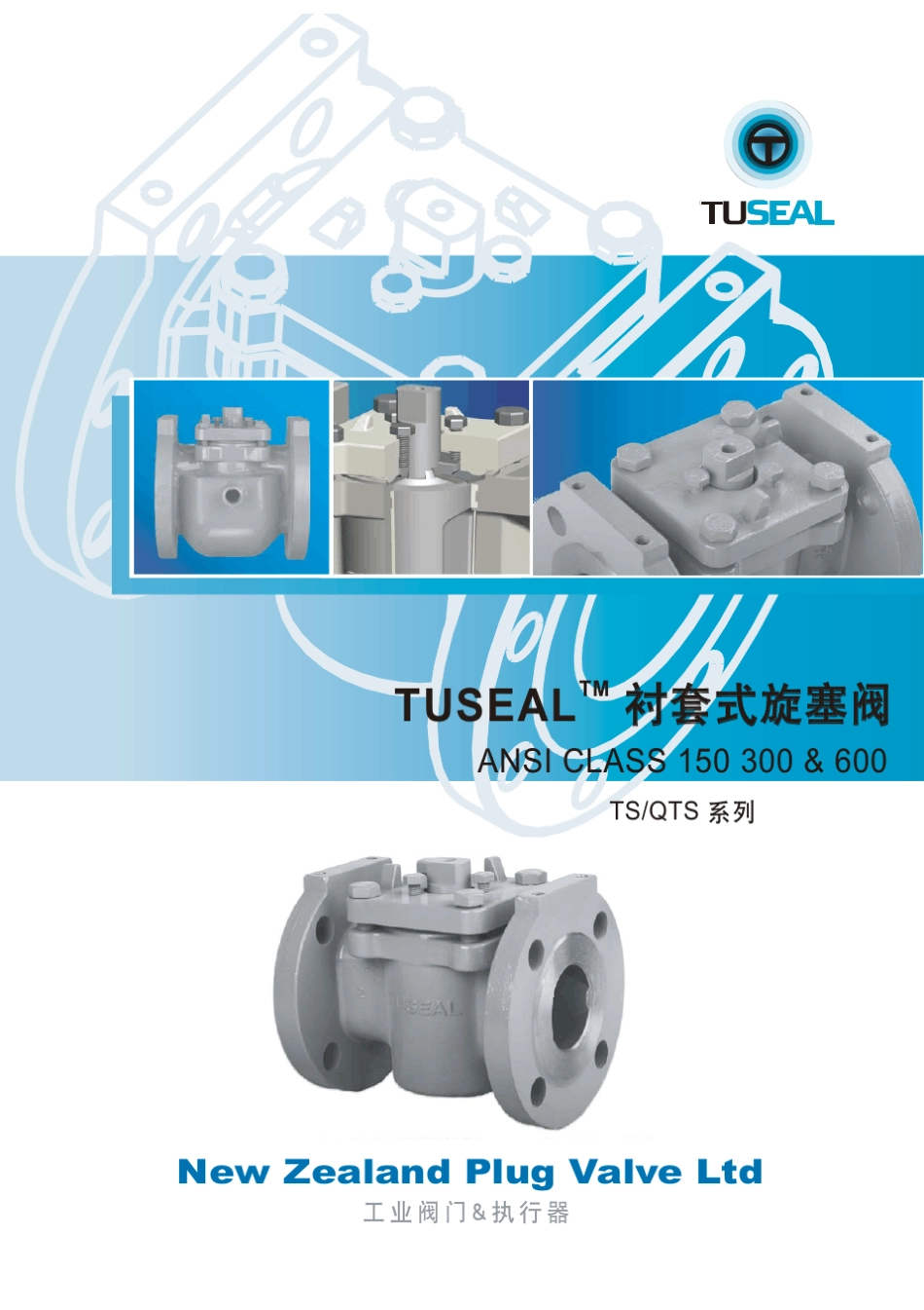 TUSEAL旋塞阀中文简版_第1页