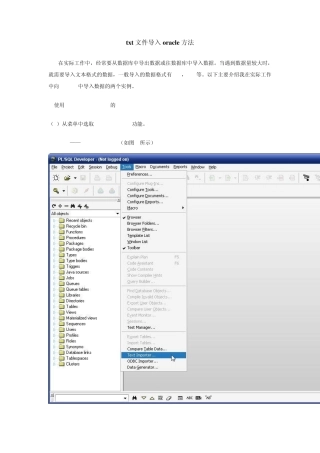 txt文件导入oracle方法