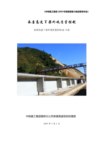 T梁外观质量控制