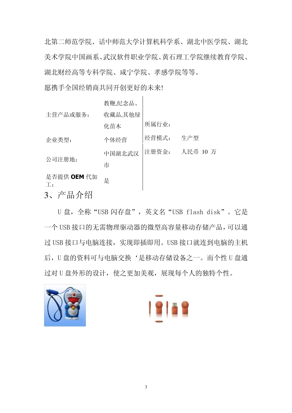 U盘营销策划书_第3页