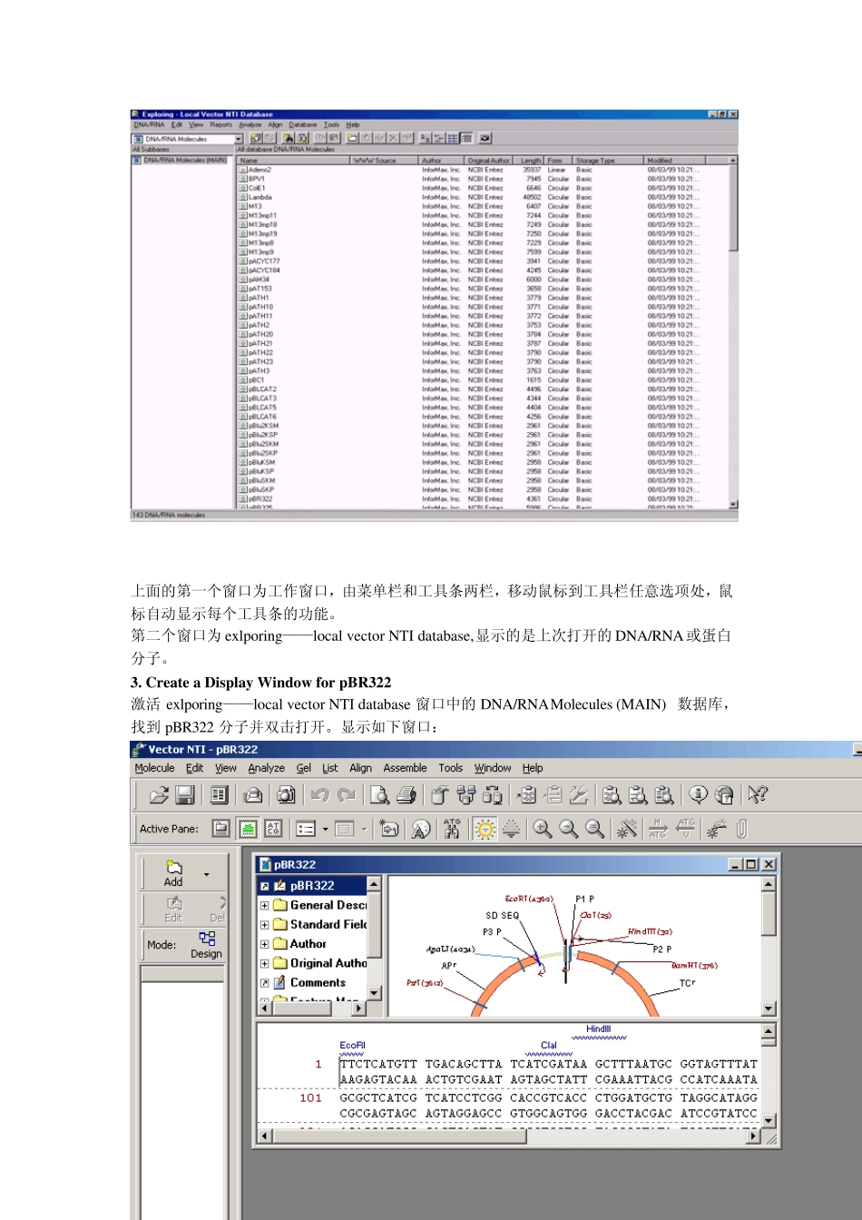 VectorNTI7.0中文使用说明书_第2页