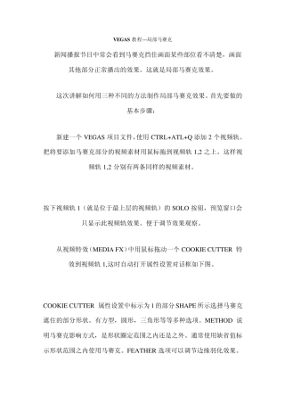 VEGAS教程—局部马赛克、动态马赛克