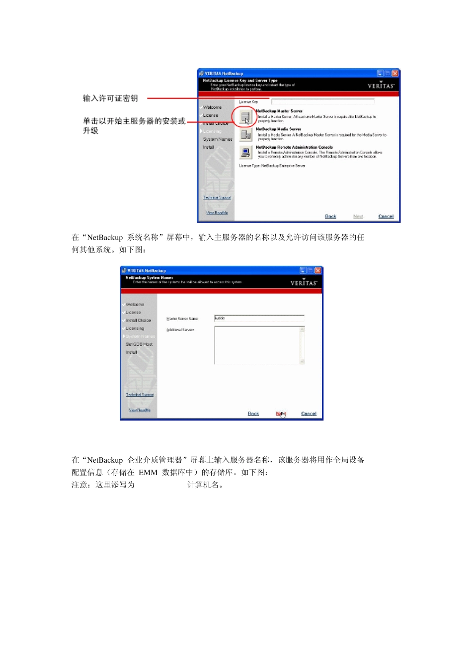 veritasnetbackup正式实施安装部署流程_第3页