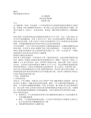 VER项目规则