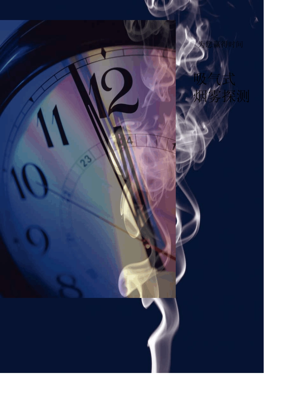 vesda产品手册_第1页