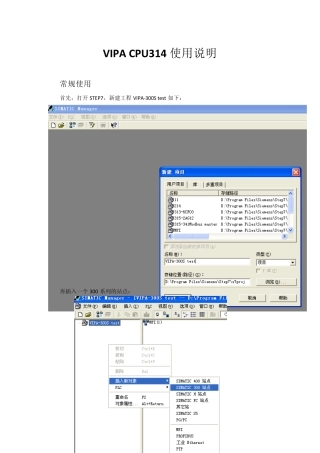 VIPACPU3146CG03说明书