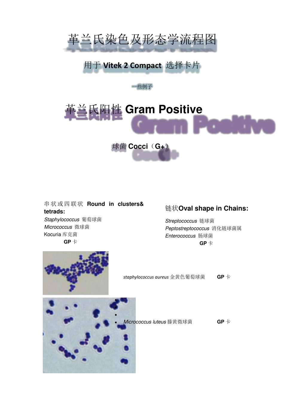 Vitek2compact选卡片流程_第1页