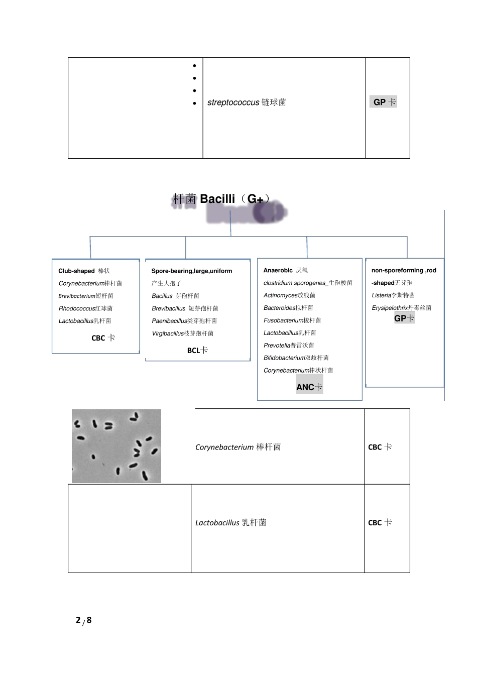 Vitek2compact选卡片流程_第2页