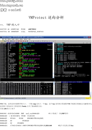 VMProtect逆向分析