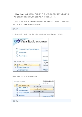VS2010