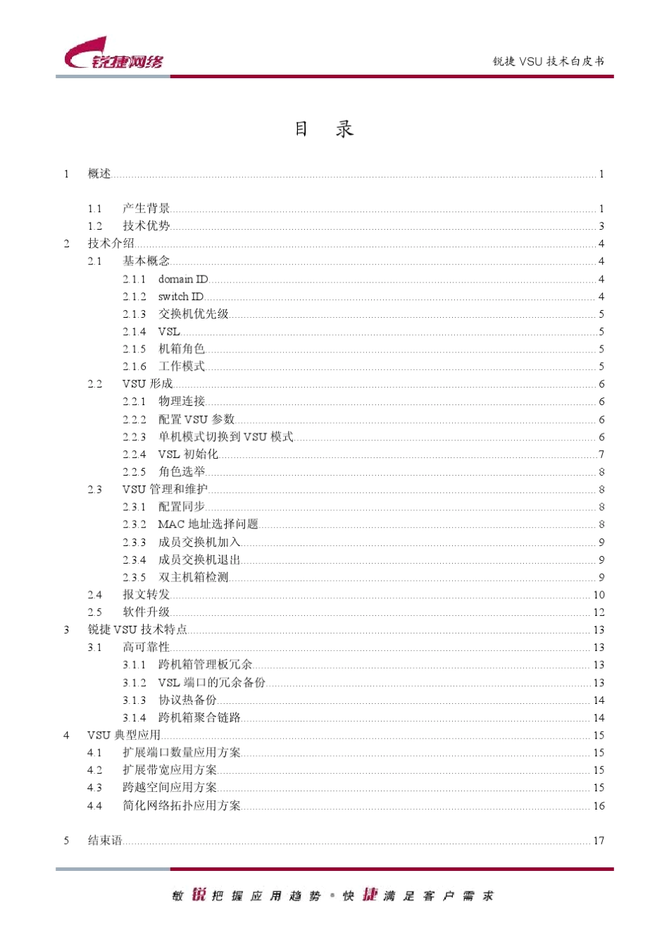 VSU技术白皮书_第3页