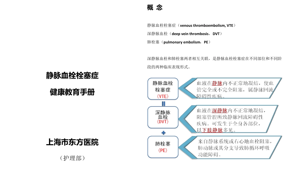 VTE健康教育册_第1页