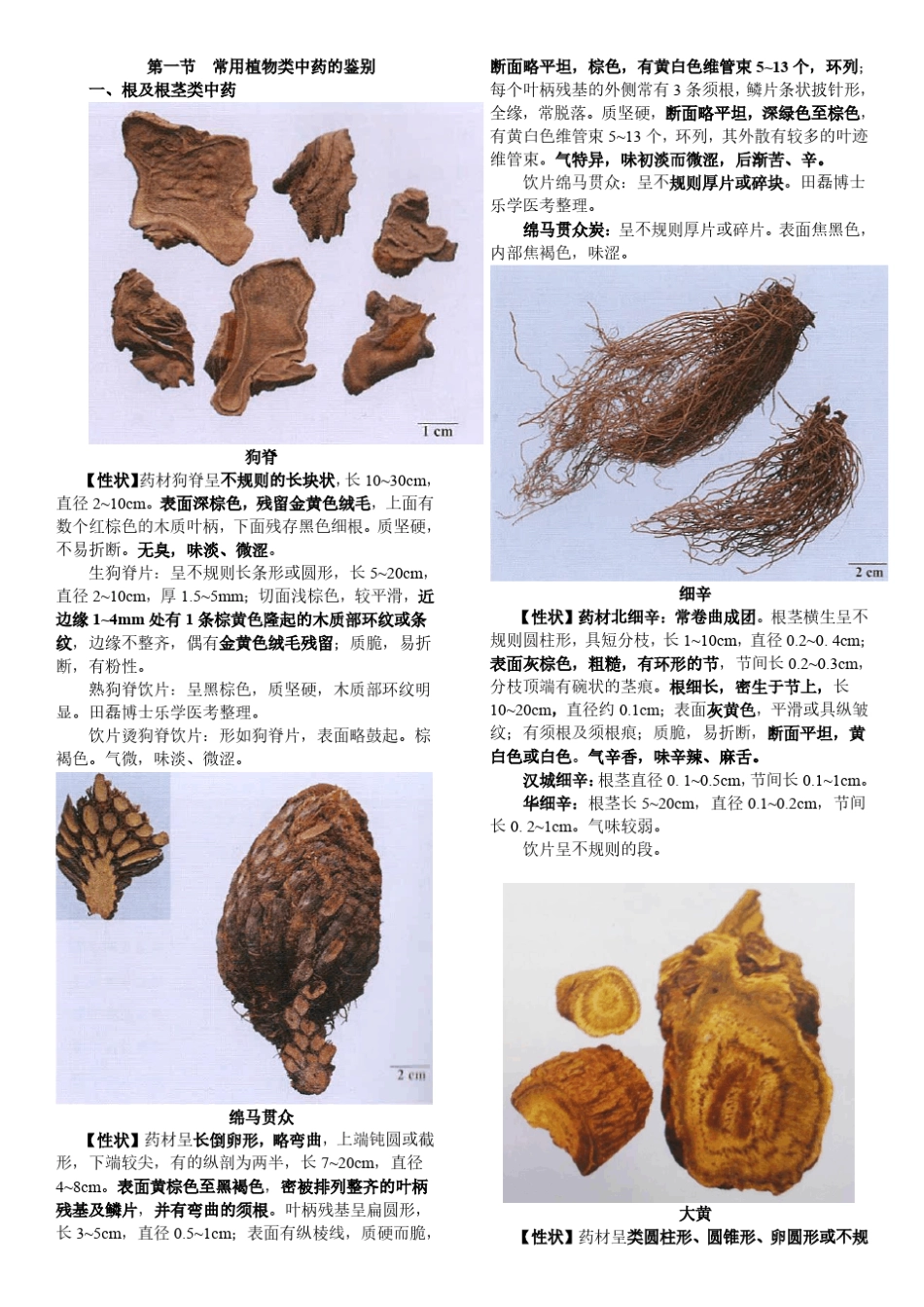 中药鉴定图文_第1页