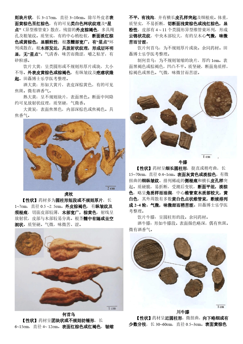 中药鉴定图文_第2页