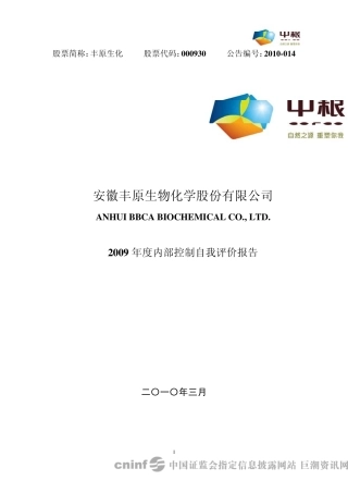 丰原生化：2009年度内部控制自我评价报告20100325