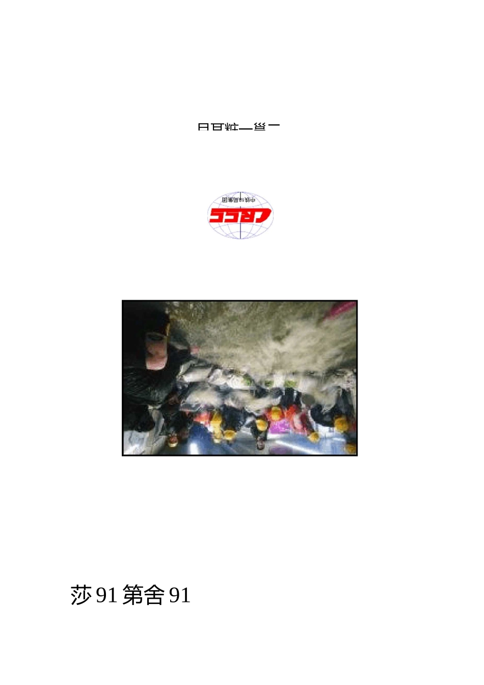 防汛应急演练方案_第1页