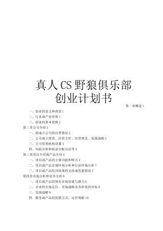 真人CS创业计划书