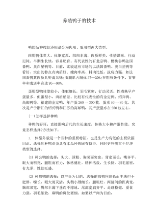 养殖鸭子的技术