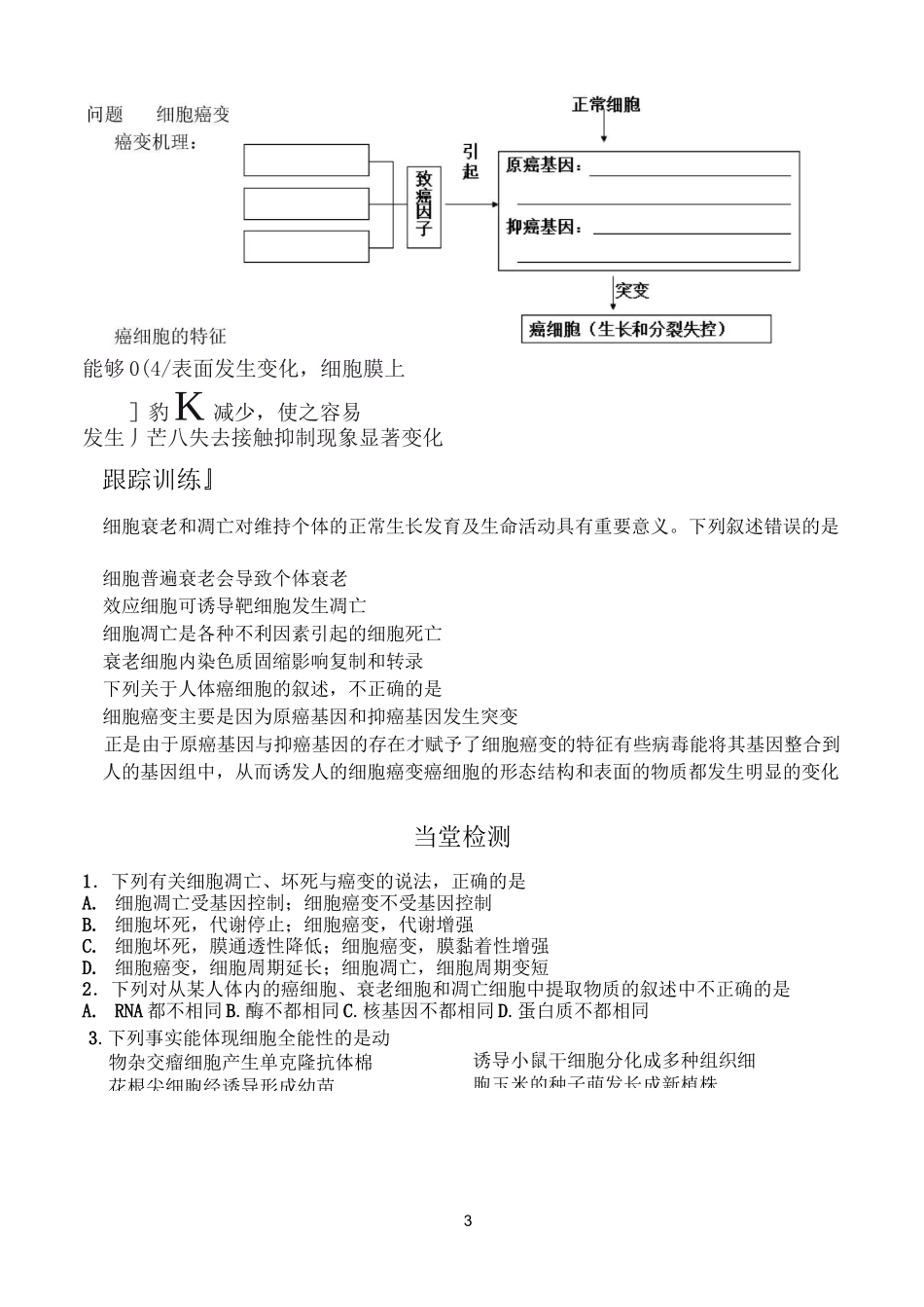 细胞分化学案_第3页