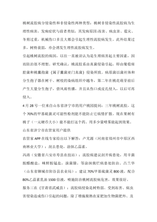 流胶的防治方法病