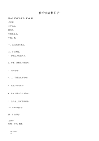 供应商审核报告