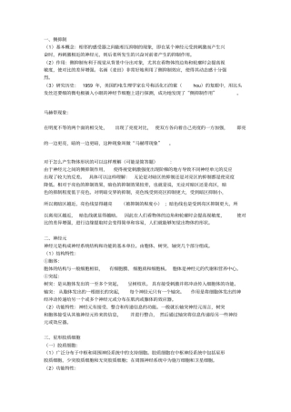我神经科学整理