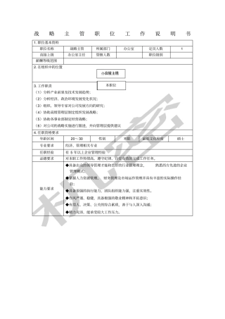 战略主管职位工作说明书
