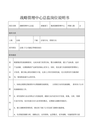 战略管理中心总监岗位说明书