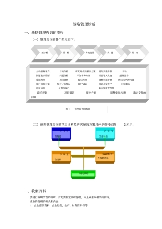 战略管理诊断报告