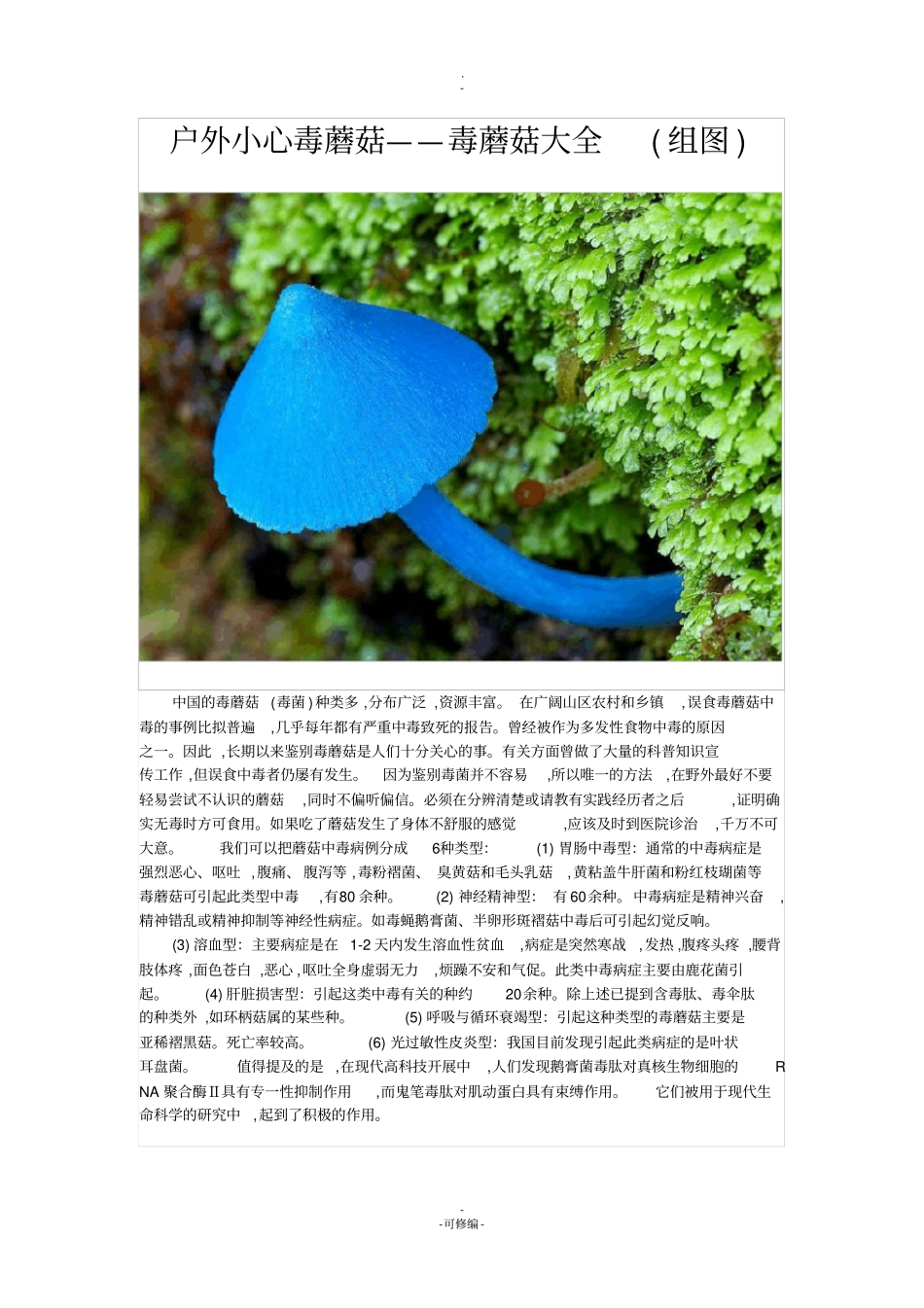 户外小心毒蘑菇——毒蘑菇大全组图_第1页