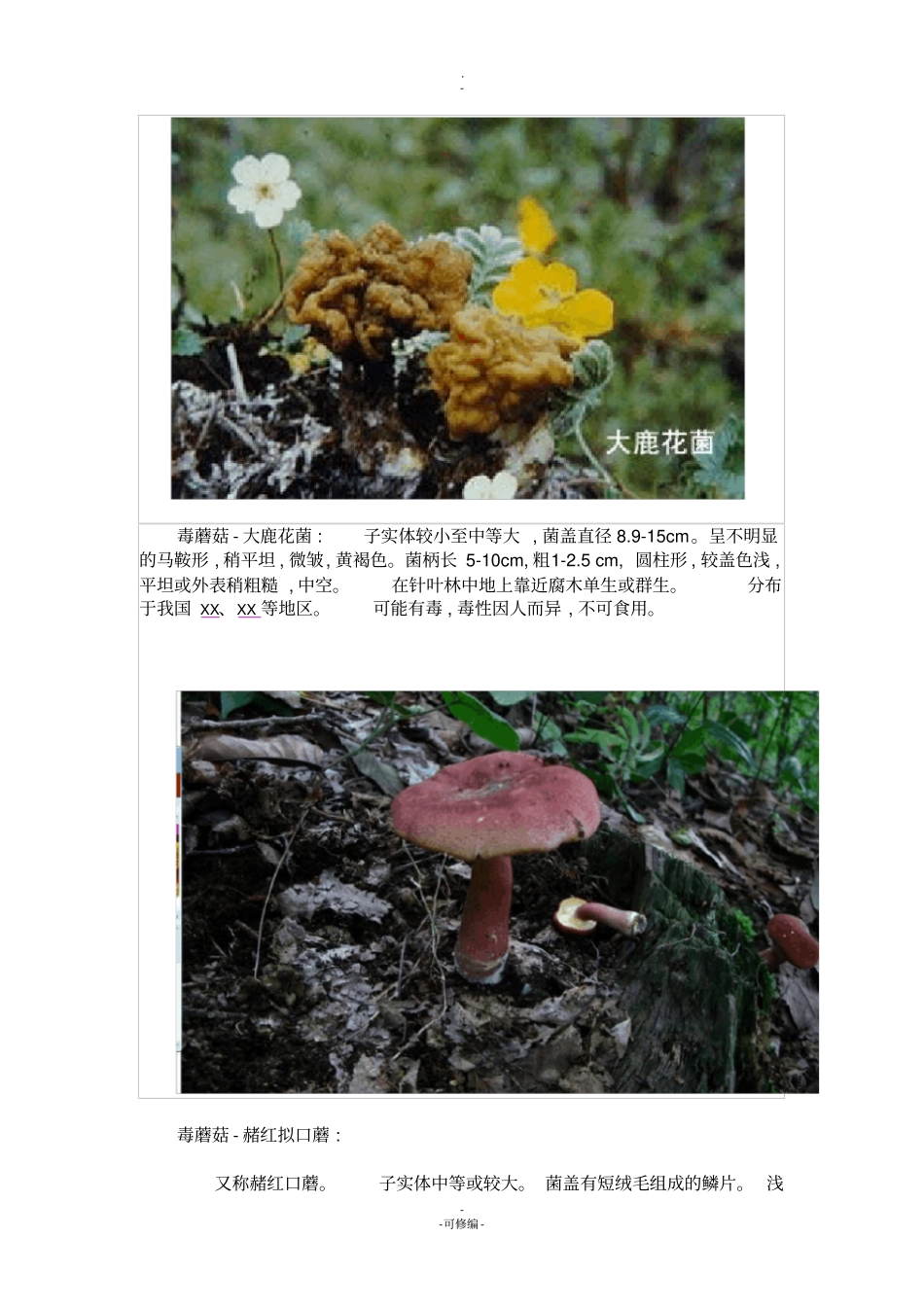 户外小心毒蘑菇——毒蘑菇大全组图_第2页