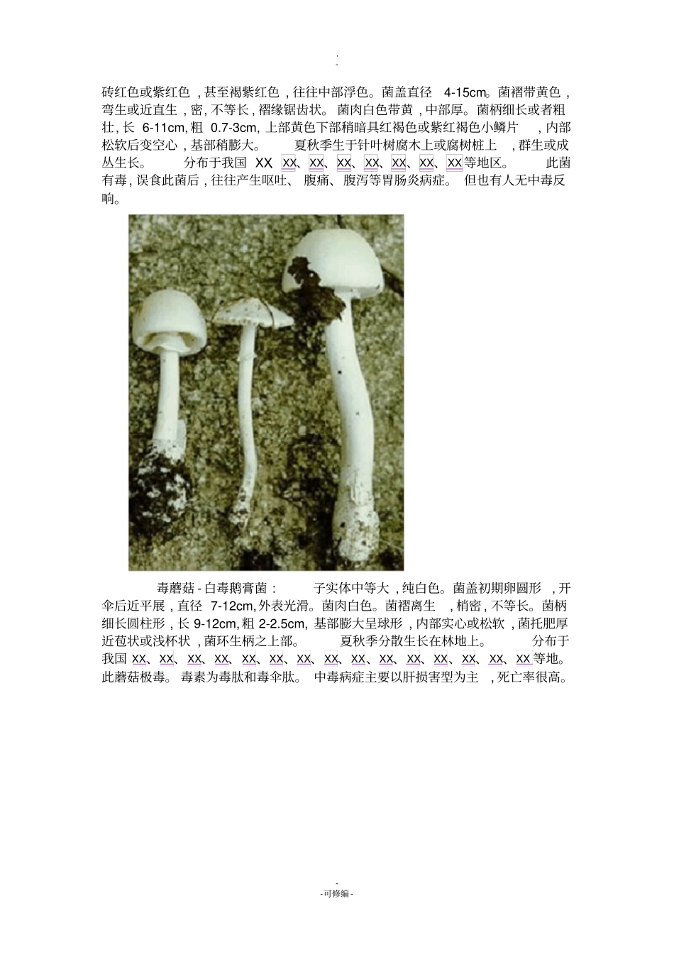 户外小心毒蘑菇——毒蘑菇大全组图_第3页