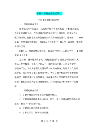 手机场调查报告范例