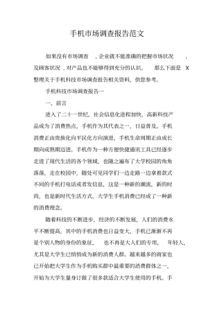 手机场调查报告范文