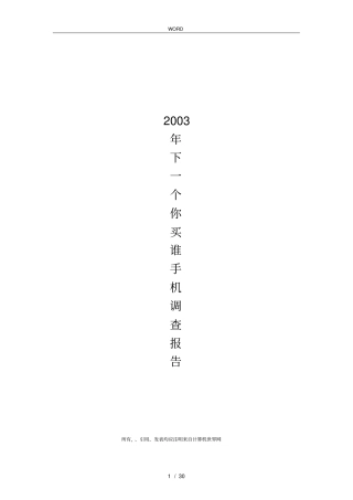 手机场调查报告