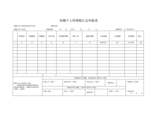扣缴个人所得税汇总申报表
