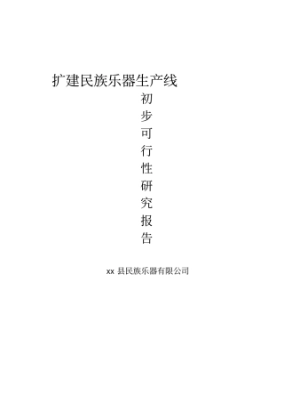 扩建民族乐器生产线可行性研究报告
