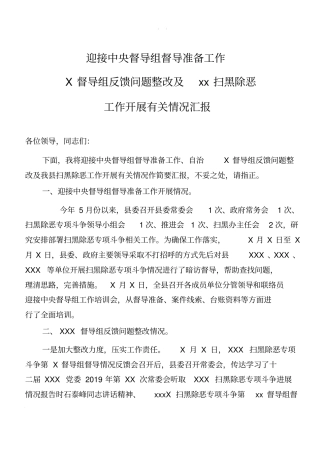 扫黑除恶专项斗争工作汇报