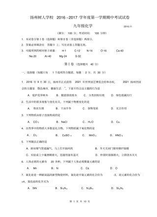 扬州树人学校2016–2017学年第一学期期中考试化学试卷及参考答案讲解