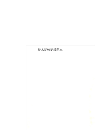 技术复核记录范本