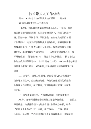 技术带头人工作总结