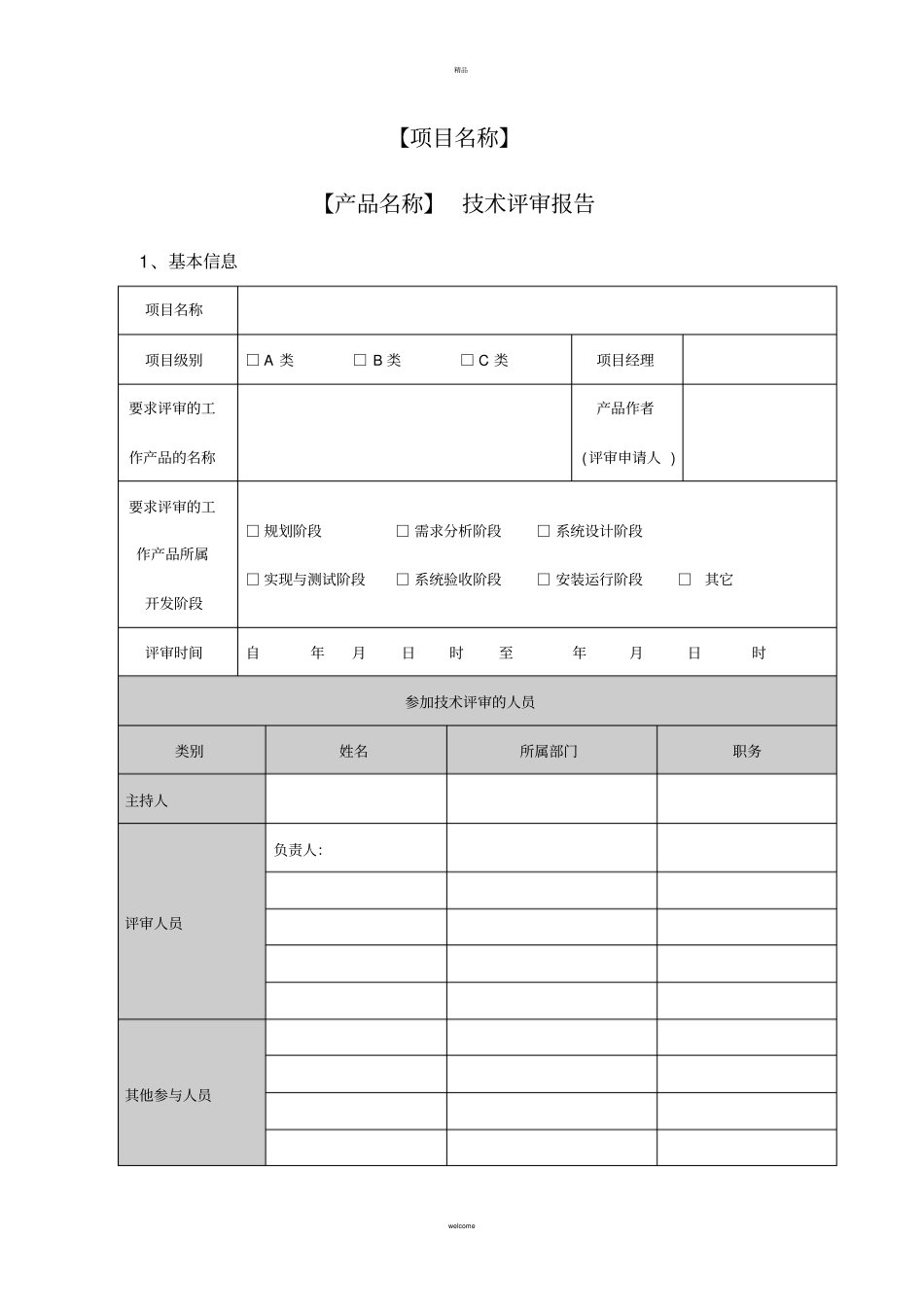 技术评审报告模板_第1页