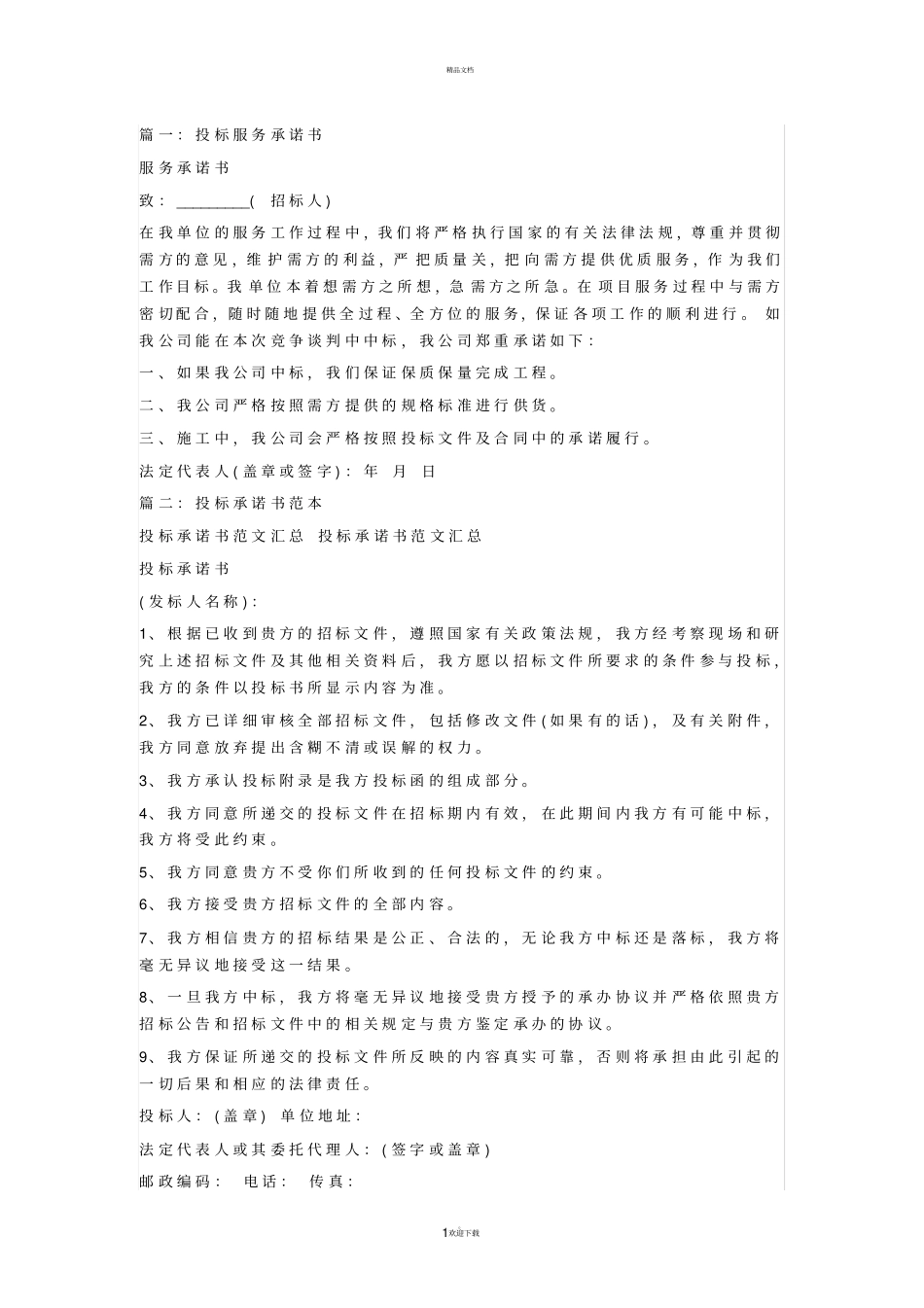 投标服务承诺书范文_第1页