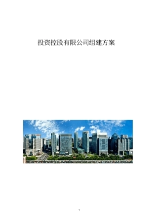 投资控股有限公司组建方案