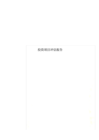 投资项目评价报告
