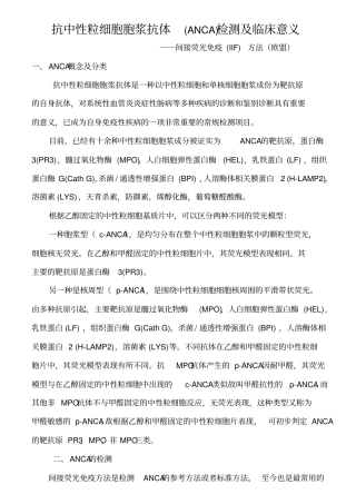 抗中性粒细胞胞浆抗体ANCA的检测及临床意义