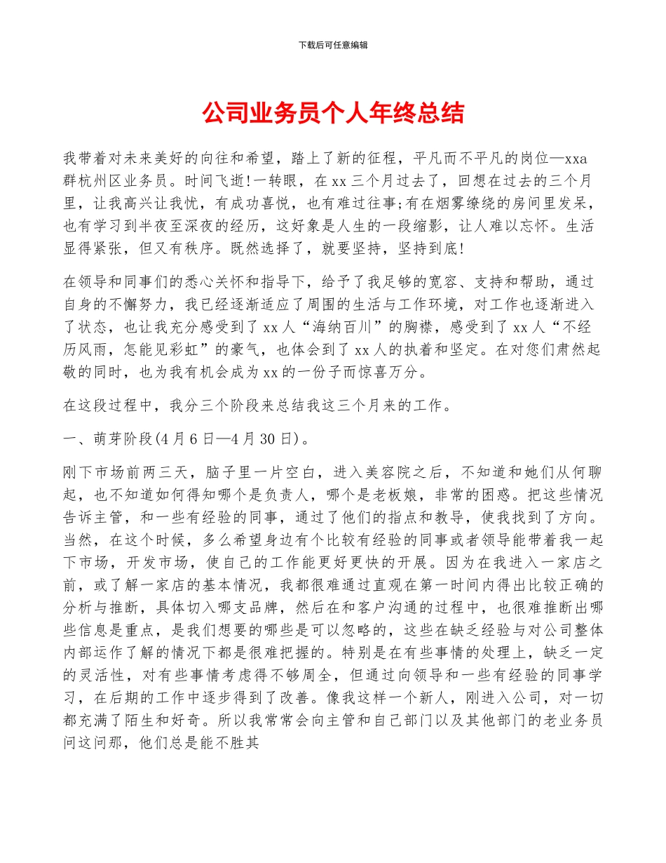 公司业务员个人年终总结_第1页