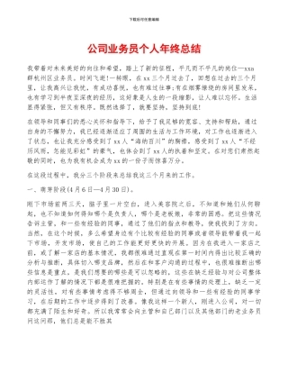 公司业务员个人年终总结