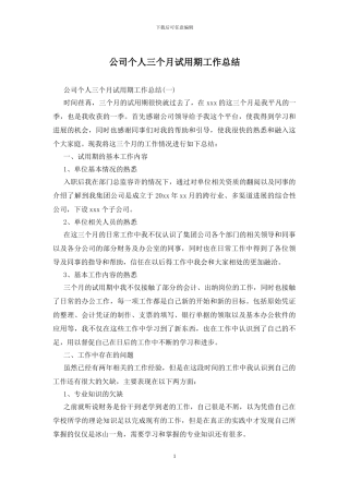 公司个人三个月试用期工作总结